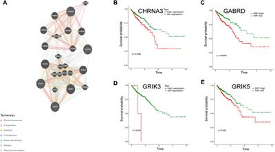 Neurotransmitter receptor-related gene signature as potential prognostic and therapeutic biomarkers in colorectal cancer